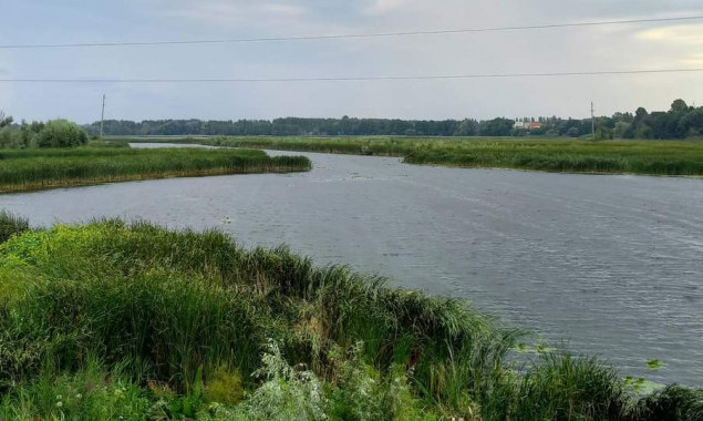 На Макарівщині дослідили якість води в річці Здвиж та в ставку села Липівка в межах рекреаційних зон