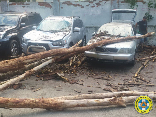 Столичні рятувальники прибрали дерево, що впало на припарковані автомобілі у Шевченківському районі