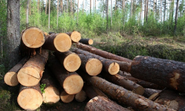 На Київщині за погану охорону лісу від незаконних рубок з держпідприємства стягнуть більше 200 тисяч гривень
