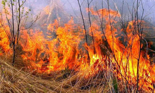 На Київщині надзвичайний рівень пожежної небезпеки триватиме до 8 вересня