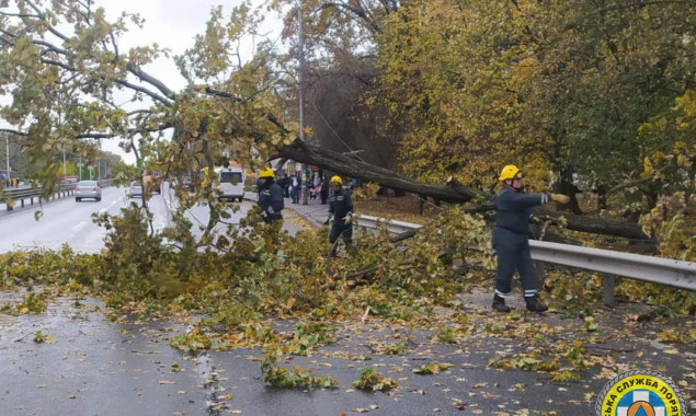 У Києві через повалені дерева ускладнено рух у Подільському та Шевченківському районах (фото)