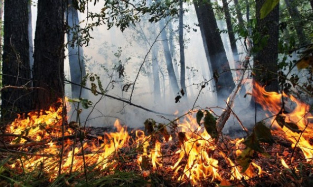 На Київщині найближчими днями спостерігатиметься пожежна небезпека