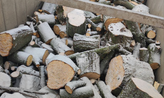На Київщині двох чоловіків підозрюють у порубці 348 дерев на понад 2,4 млн гривень
