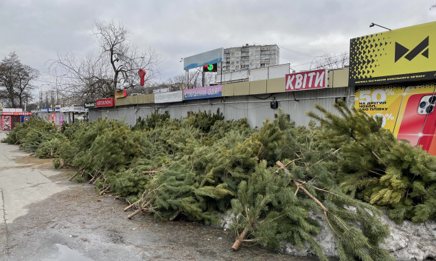 У Києві тисячі викинутих по всьому місту ялинок доводиться прибирати комунальникам