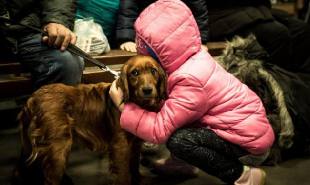 В Україні дозволили перебувати в укриттях із домашніми тваринами