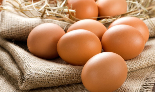 Управління освіти Дніпровської РДА шукає постачальника 945 тисяч яєць