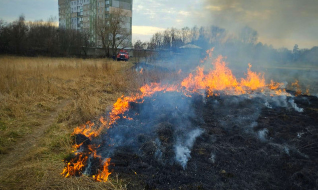 Рятувальники б’ють на сполох: на Київщині лише за минулу добу ліквідовано низку пожеж в екосистемах (фото)