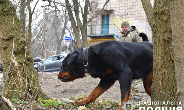 Два десятки собак столичних кінологів пройшли тестування з пошуку зброї та вибухівки (фото, відео)