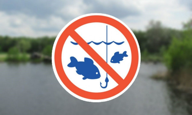 На Київщині з 1 квітня починає діяти нерестова заборона на риболовлю