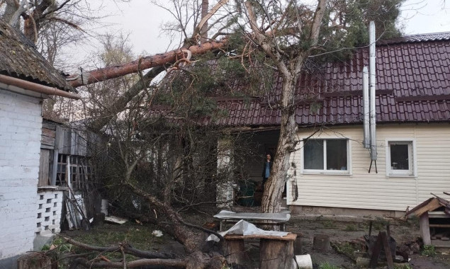 На Київщині внаслідок негоди зруйновано дахи та пошкоджено лінії електропередач у п’яти районах