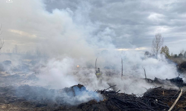 На Київщині за добу виникло 30 пожеж через спалювання сміття та трави (фото)