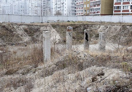 На месте скандального строительства в Киеве посадят елочку