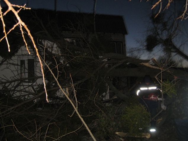 В Киевской области ветер повалил дерево на дом с ребенком и пенсионерами