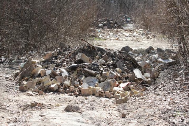 На Трухановом острове обнаружили стихийную свалку бытовых отходов