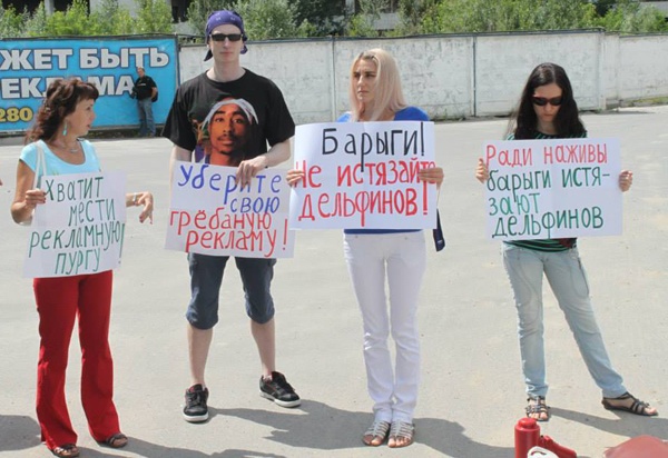 Активисты в Киеве пикетировали эксплуататоров дельфинов