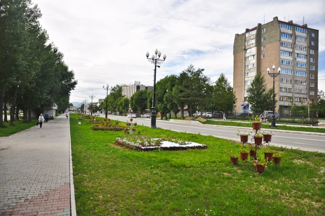 В Киеве проводят фиктивные тендеры на озеленение