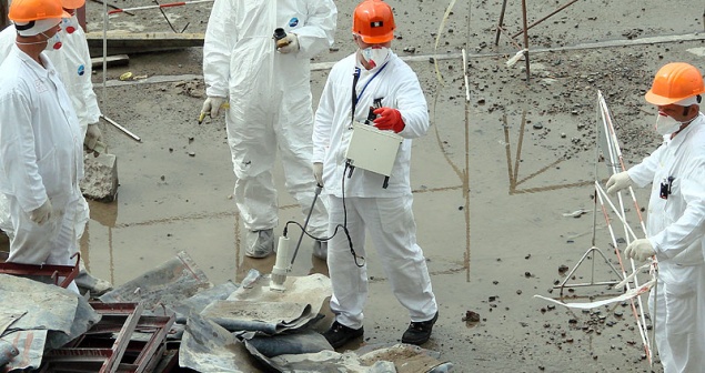 В Чернобыльской зоне отчуждения предприятия нанесли государству миллионные убытки