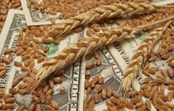 Служащих агрохолдинга подозревают в мошенничестве на 500 млн гривен
