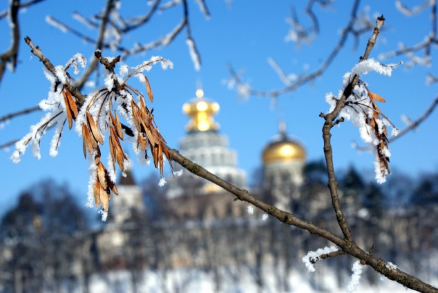 Погода в Киеве и Киевской области (15 декабря)