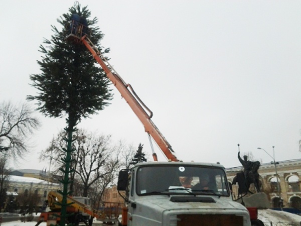 На Контрактовой площади Киева установили елку (ФОТО)