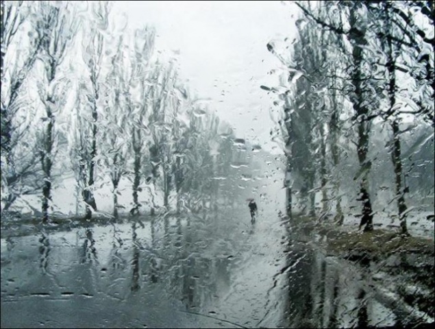 Погода в Киеве и Киевской области (23 января)