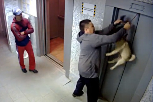 В Киеве нетрезвому парню дверью лифта зажало обе руки