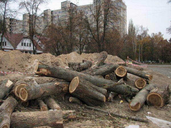 Представители Киевсовета не явились на суд по Беличанскому лесу