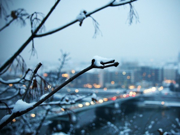 Погода в Киеве и Киевской области (19 февраля)