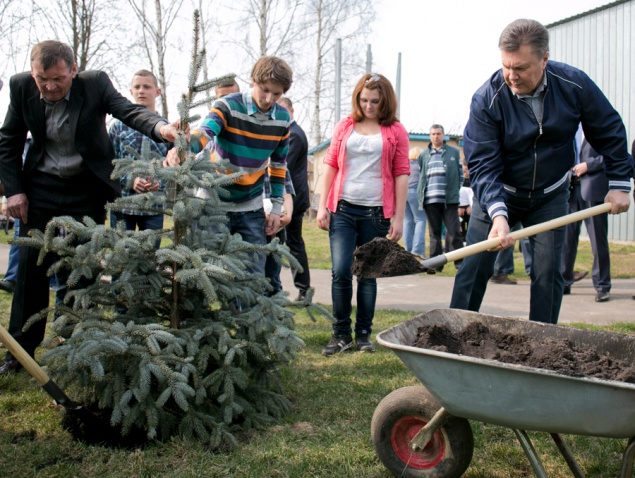 Государству вернули почти 9 га леса, принадлежавшего Януковичу