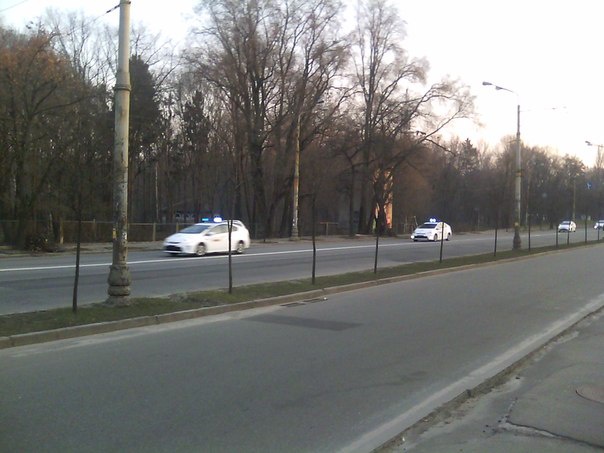 Киевлян напугала колонна милицейских авто, мчащихся по Голосеево с включенными сиренами