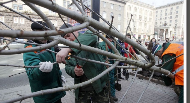 В Киеве высадят 3 тыс деревьев и 1,7 тыс кустов