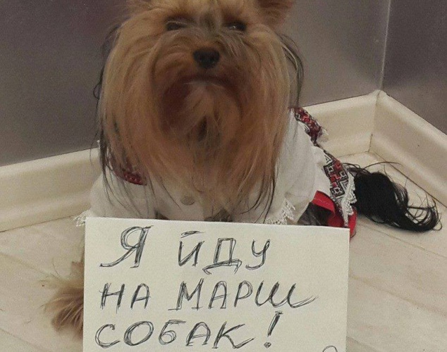 Защитники животных проведут “Марш собак” возле МВД и Администрации президента