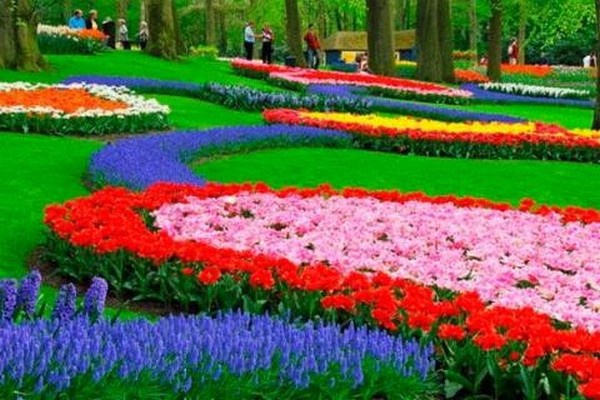 В “Киевзеленстрое” идет активная подготовка к традиционной выставке цветов на Певческом поле