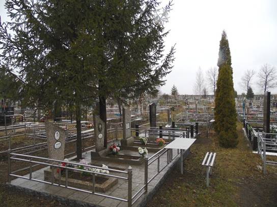 На Киевщине задержали троих безработных, воровавших оградки на кладбище