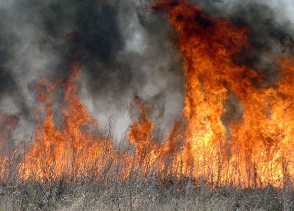 За прошедшие сутки спасатели столицы тушили 19 пожаров сухостоя