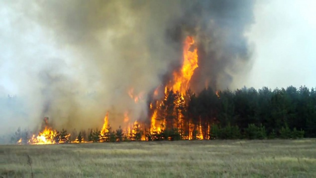 В зоне отчуждения в Киевской области на площади 320 га горит лес