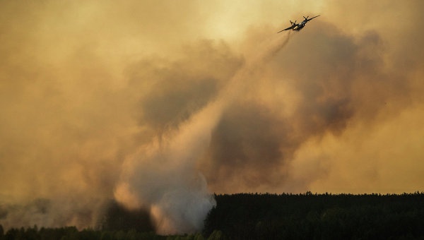 Одна из версий возникновения пожара в зоне ЧАЭС - сокрытие незаконной вырубки деревьев