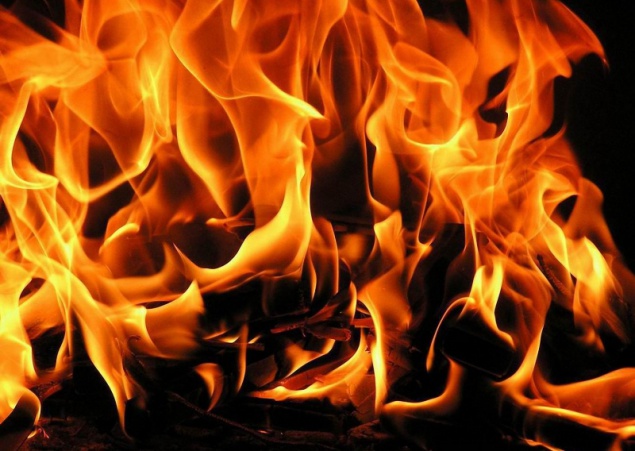 Сегодня ночью в Голосеевском районе столицы сгорел автомобиль