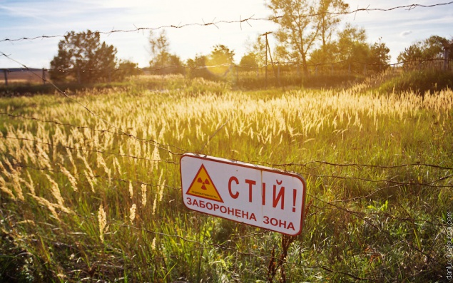 Чернобыльскую зону отчуждения уменьшат в три раза и создадут заповедник