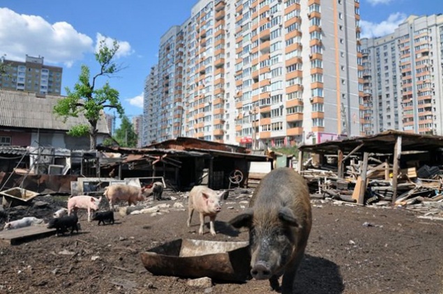 Киевсовет решил отселять жителей ветхих домов