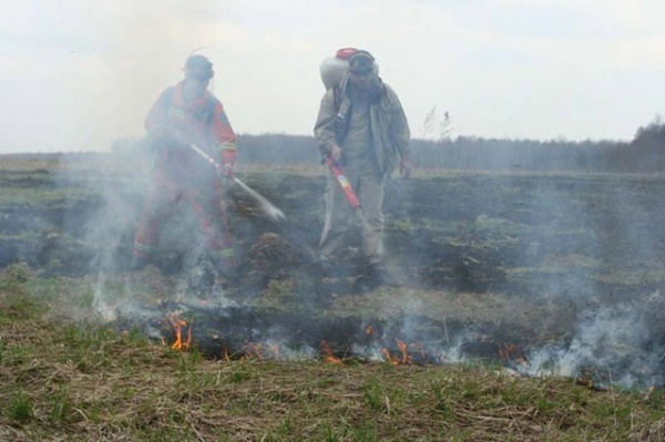 Причина задымленности Дарницы - под Киевом загорелись торфяники