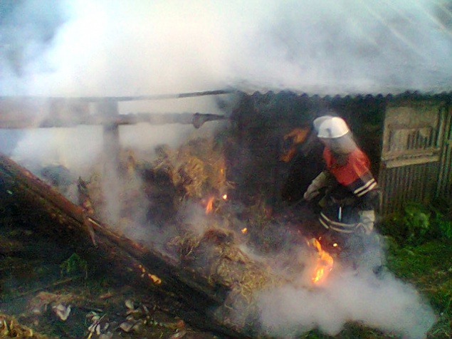 На Киевщине пожарные спасли из огня 18 голов скота