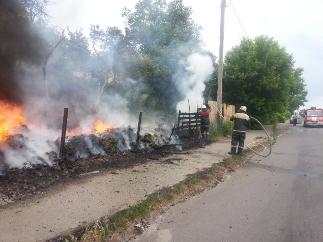 На Киевщине горел садовый кооператив (фото)