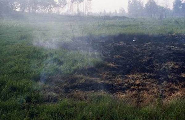 На Киевщине горит около 20 гектаров торфяников