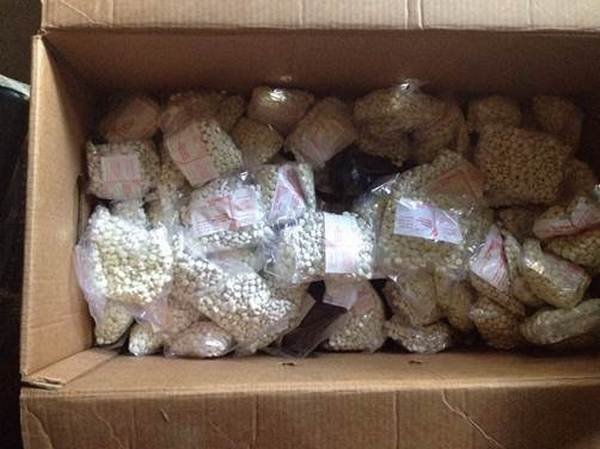 На Киевщине СБУшники изъяли 3 тонны фальсифицированных лекарств из подпольной лаборатории (фото)