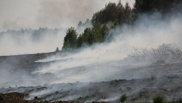 В Минэкологии увидели причину ухудшения экологии Киева в возгораниях торфяников