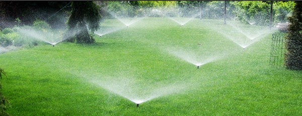 “Киевзеленстрой” собирается внедрять автоматическую систему полива растений