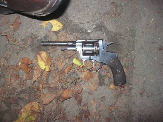 На Киевщине пенсионер застрелил одного сына из раритетного револьвера и покончил с собой на глазах у другого