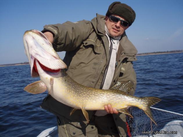 Каневское водохранилище впервые в Украине оборудуют зонами для любительского и промышленного лова рыбы