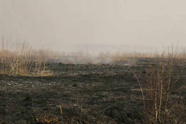 Площадь торфяных пожаров Киевщины уменьшилась до 42 га